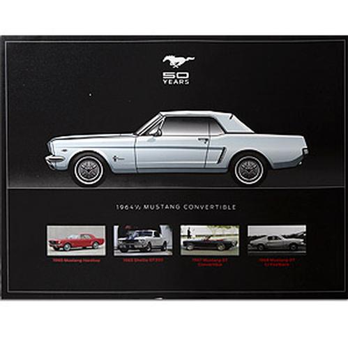 50 YEARS Hero Card Set - Ford Show Parts